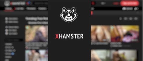 hamsterlive com|xHamsterLive